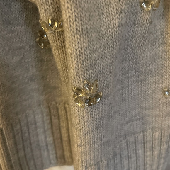 Banana Republic NWT light gray scarf w/rhinestones - Picture 4 of 6